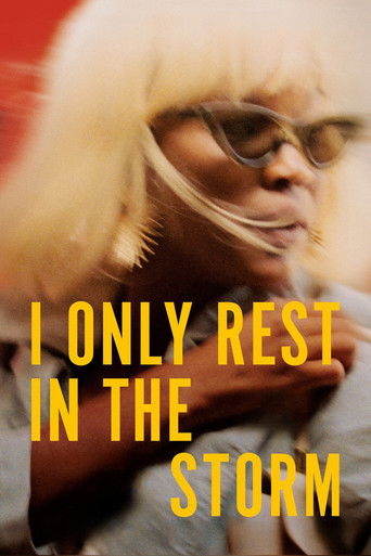 Poster for I Only Rest in the Storm