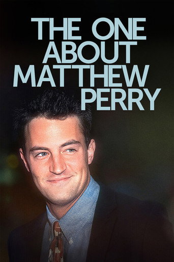 Poster for The One About Matthew Perry