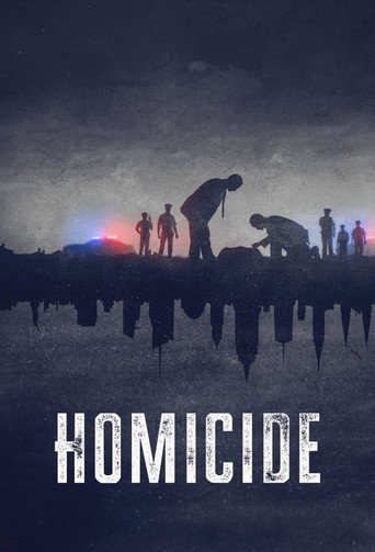 Poster for Homicide Season 3